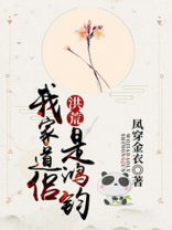 我家道侣是鸿钧百度云