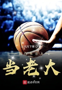我在nba当老大 小说