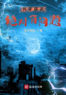 我家精灵绝对有问题TXT