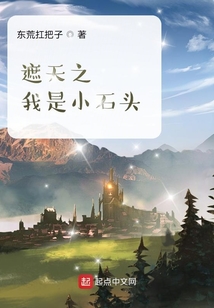遮天之我是小石头免费阅读