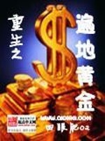 重生之遍地黄金的87年代主角是方正的小说