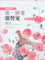 暖婚情深:第一娇妻强势宠TXT