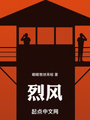 烈风小说