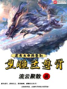 遮天之开局签到重瞳至尊骨 流云聚散