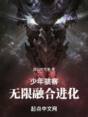 少年骇客合体