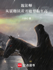 旅法师:从霍格沃茨开始登临至高