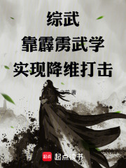 综武靠霹雳武学实现降维打击笔趣阁