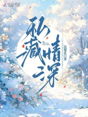 私藏情深小说