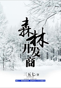 森林开发商TXT八零下载