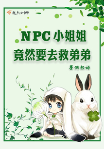 npc小姐姐竟然要去救弟弟txt