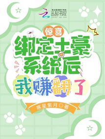 惊喜绑定土豪系统后我赚翻了 寒星紫月