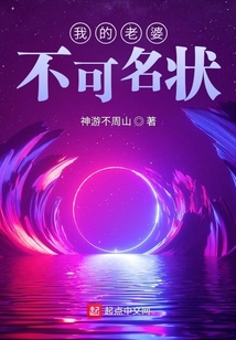 我的老婆不可名状评价