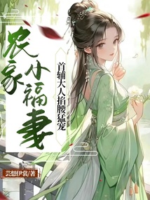农家小首辅免费阅读