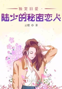 独宠旧爱陆少的秘密正版小说