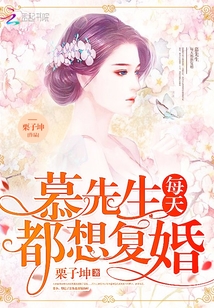 慕先生每天都想着复婚 小说