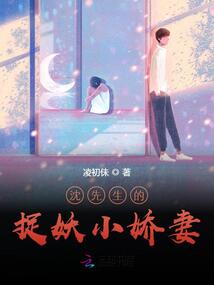 沈先生的心尖宠小说池汐