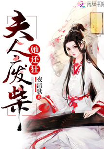 夫人废柴她还狂 夜清歌