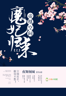 帝凰空间之魔妃归来全文免费阅读下载