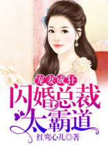 宠妻成狂:闪婚总裁太霸道免费全集