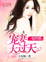 宠妻大过天 小说