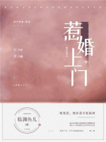 惹婚上门全文免费阅读完整版