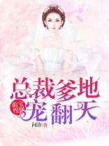 萌宝驾到:总裁爹地宠翻天 问许