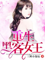 重生黑客女王TXT