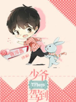 tfbos小说之少爷驾到