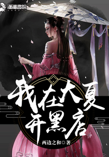 我在大夏开黑店类似