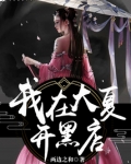 我在大夏开黑店