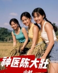 山村神医陈大壮