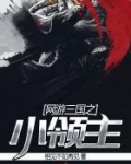 网游三国之小领主