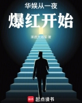 华娱从一夜爆红开始