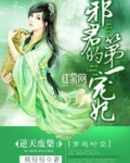 邪君的第一宠妃