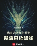 武道词条：我能看到隐藏进化路线