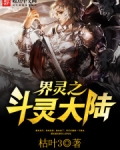界灵之斗灵大陆