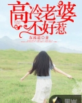 高冷老婆不好惹