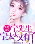 宠婚蜜爱：宁先生，宁太太又有了