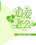 追爱小老公