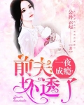 一夜成瘾:前夫,坏透了