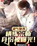 灵气复苏:横练宗师身份被曝光!