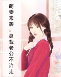 萌妻来袭:总裁老公不许走
