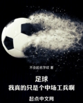 足球：我真的只是个中场工兵啊！