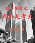 权力巅峰之我不是青天