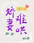 娇妻难哄