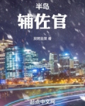 半岛辅佐官