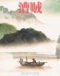 漕贼