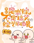 笑拉！是恋综不是搞笑综艺啊喂
