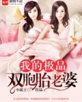 我的极品双胞胎老婆