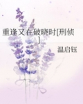 重逢又在破晓时[刑侦]